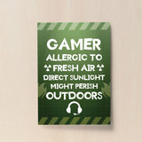 Funny Gamer Gift For Gaming Lover Boys Bedroom Wall Art Man Cave